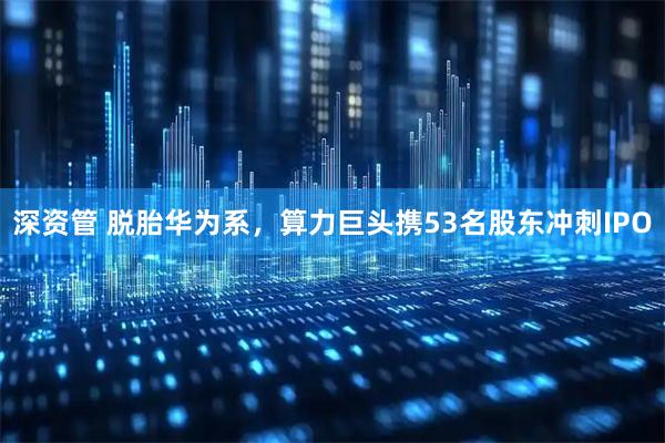 深资管 脱胎华为系，算力巨头携53名股东冲刺IPO