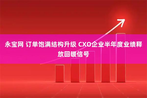 永宝网 订单饱满结构升级 CXO企业半年度业绩释放回暖信号